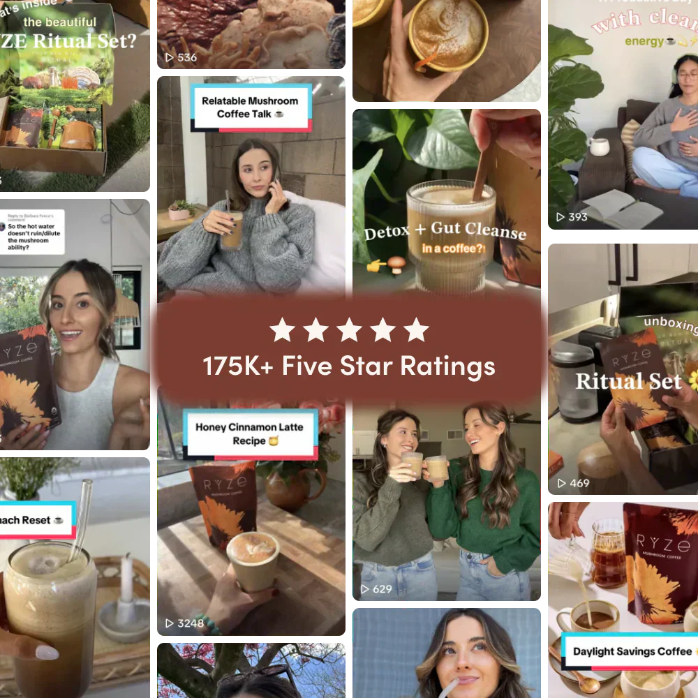 Dark Roast Starter Kit 44 bd 4f