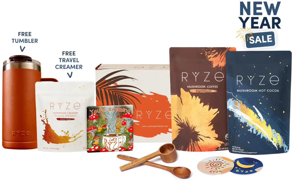 Day + Night Bundle s5 l2 45