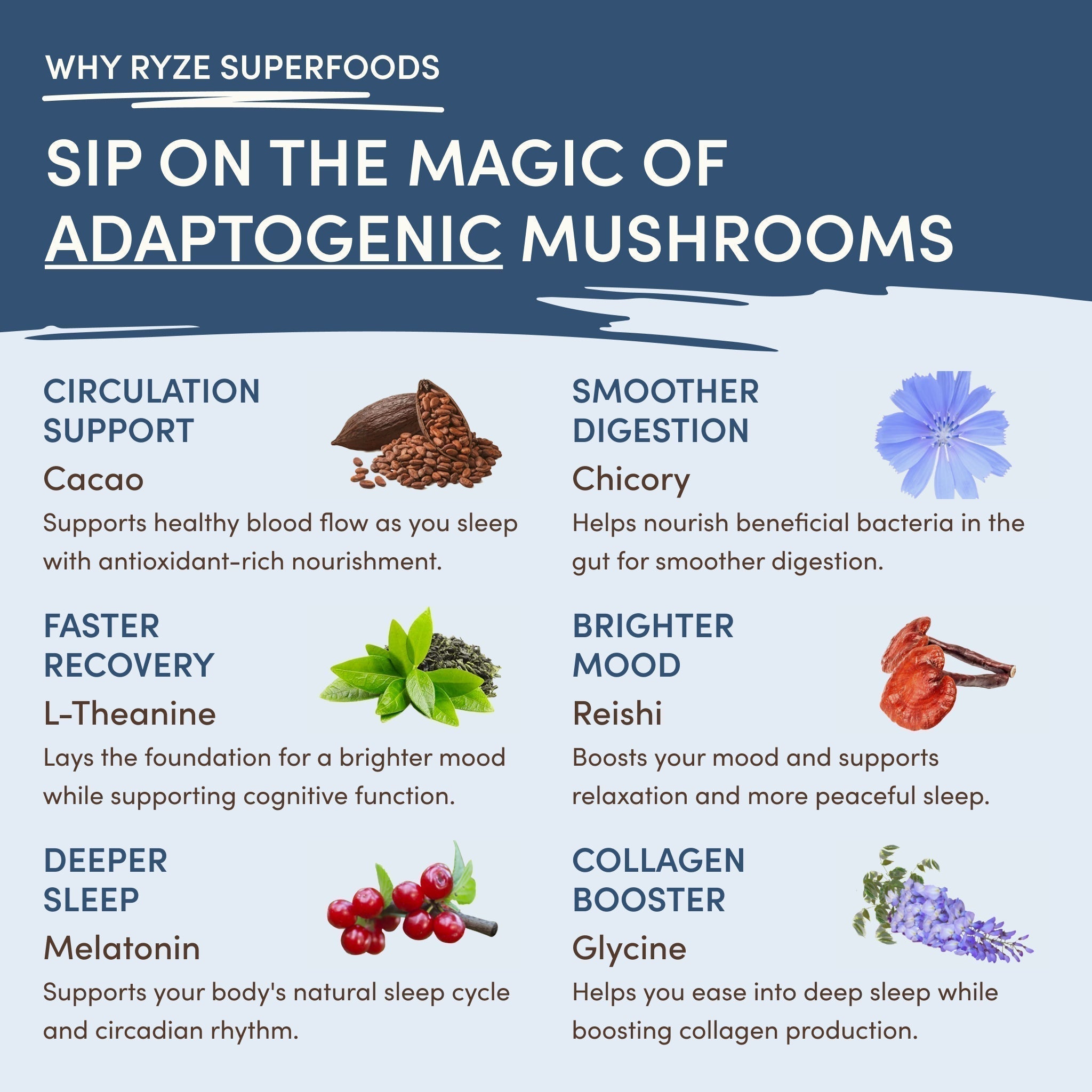 Mushroom Hot Cocoa ri gg 3i